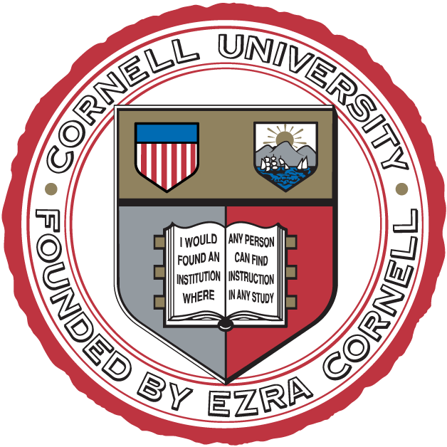 Cornell Big Red 1865-Pres Alternate Logo t shirts DIY iron ons
